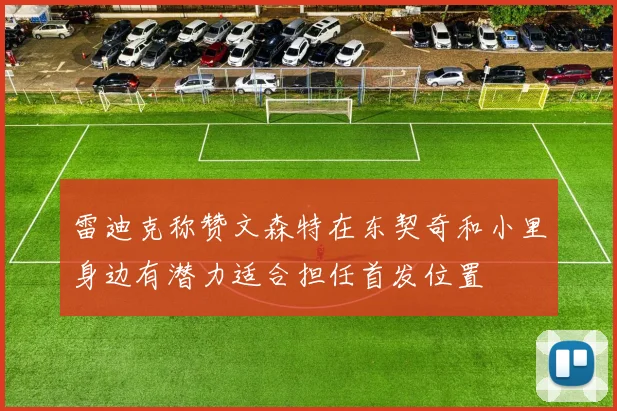 雷迪克称赞文森特在东契奇和小里身边有潜力适合担任首发位置